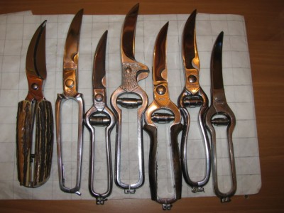 7PoultyShears1.jpg