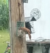 20190510_075123.jpg