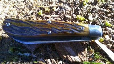 WP_20190428_018.jpg