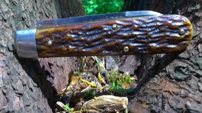 WP_20190510_109.jpg