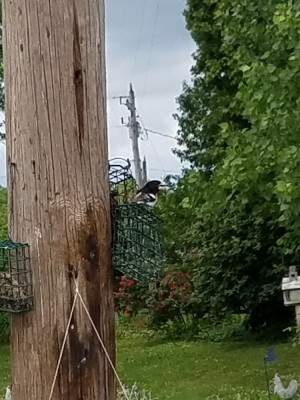 20190513_105936.jpg