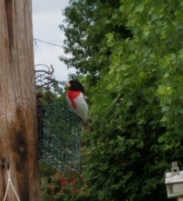 20190513_105749.jpg