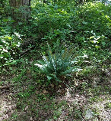20190513_180643.jpg