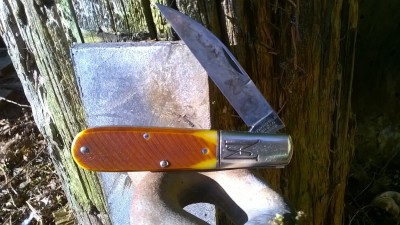 WP_20190507_007.jpg