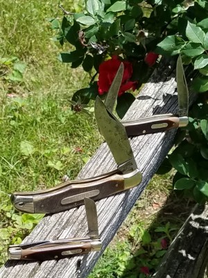 20190514_115625.jpg