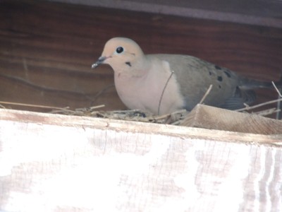 DSCN5580.JPG