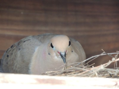 DSCN4376.JPG