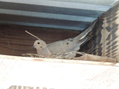 DSCN4426.JPG