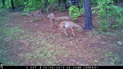 IMG_0018 (2).JPG