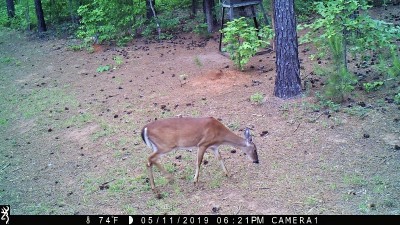 IMG_0068 (2).JPG