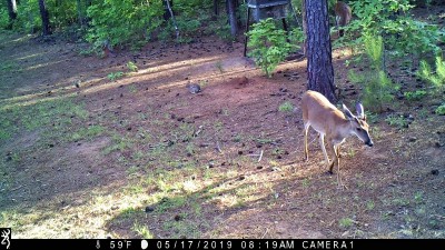 IMG_0129 (2).JPG