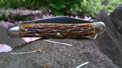WP_20190516_019.jpg