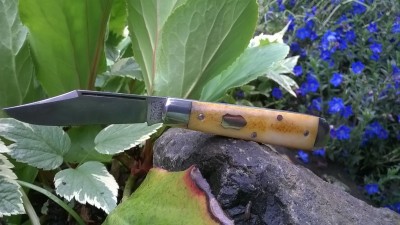 WP_20190520_015.jpg