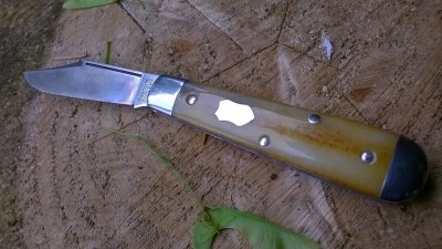 WP_20190520_001.jpg