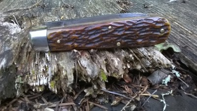 WP_20190521_035.jpg