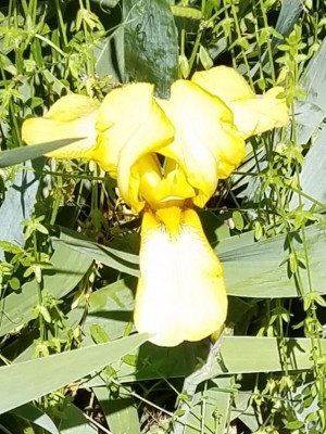 20190521_072308.jpg