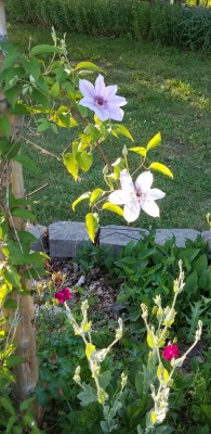 20190518_101023.jpg
