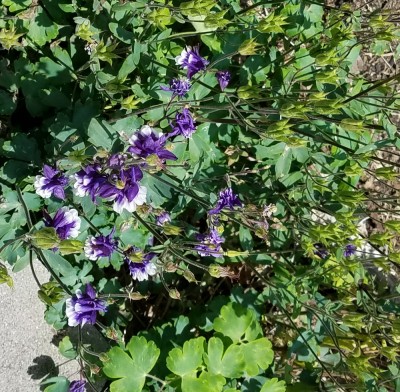 20190514_115917.jpg