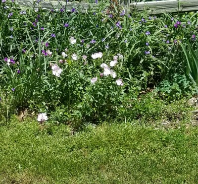 20190514_115800.jpg