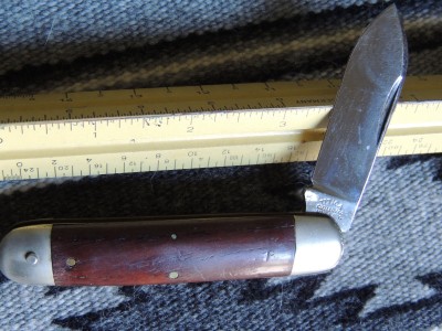 DSCN5731.JPG