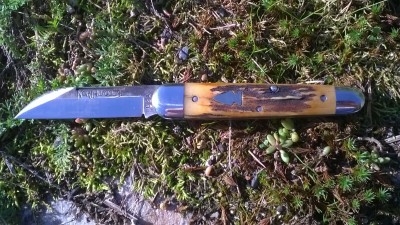 WP_20181010_076.jpg