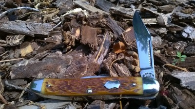 WP_20170807_042.jpg