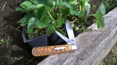 WP_20170518_046.jpg
