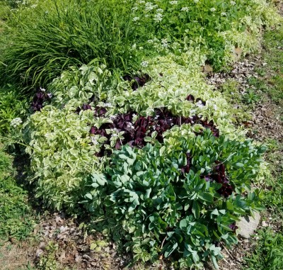 20190525_110851.jpg