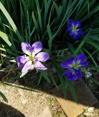 20190525_111002.jpg