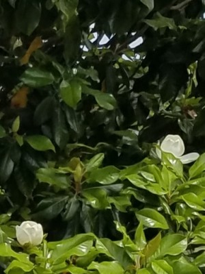 20190523_211435.jpg