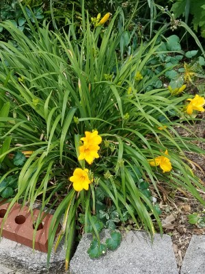 20190523_211347.jpg