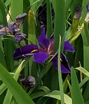 20190523_211320.jpg