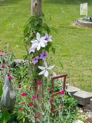 20190523_211041.jpg