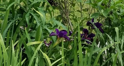 20190523_211210.jpg