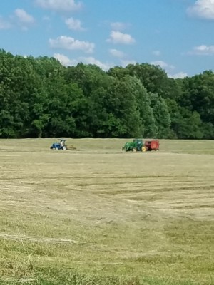 20190525_165633.jpg