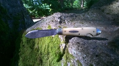WP_20190527_023.jpg