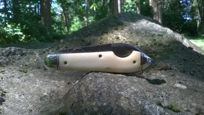 WP_20190527_026.jpg