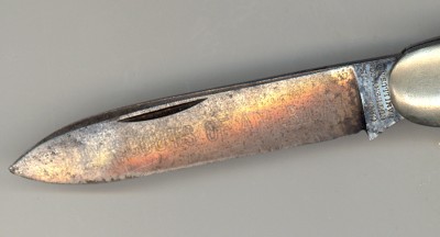 CAMI BSA ETCH.jpg