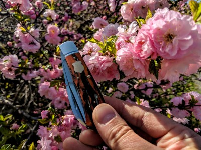 aapkTOspring.jpg
