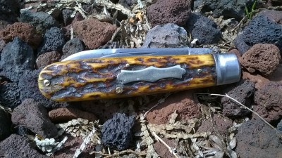 WP_20190529_014.jpg