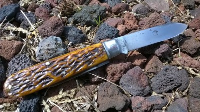 WP_20190529_010.jpg