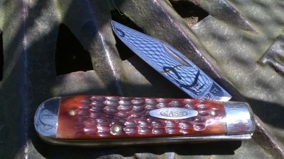 WP_20190530_014.jpg