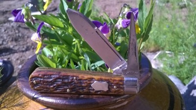 WP_20190531_050.jpg