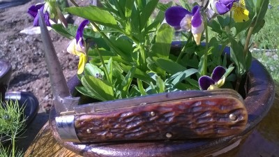 WP_20190531_064.jpg