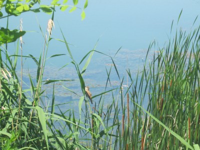 IMG_0575.JPG