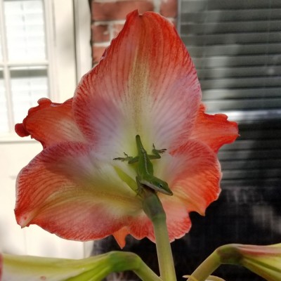 20190428_175545.jpg