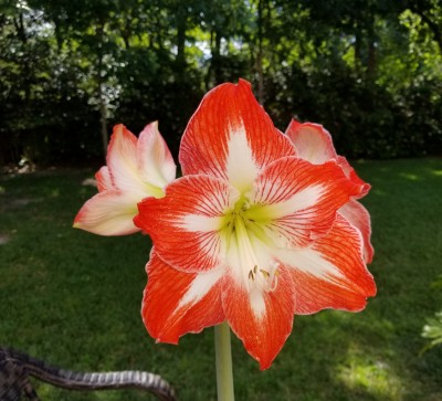 20190428_175644.jpg