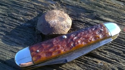 WP_20190505_067.jpg