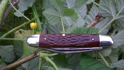 WP_20190603_007.jpg