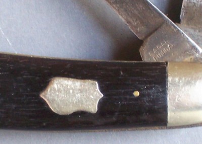 Eagle 3.jpg